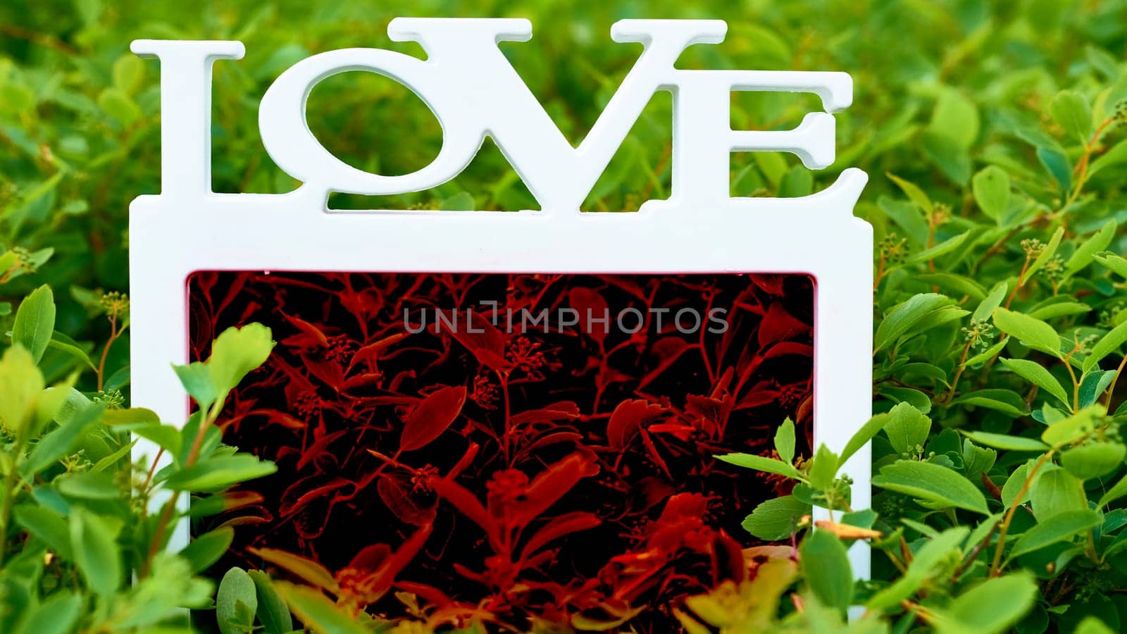 White frame love with red art middle on green plants by jovani68