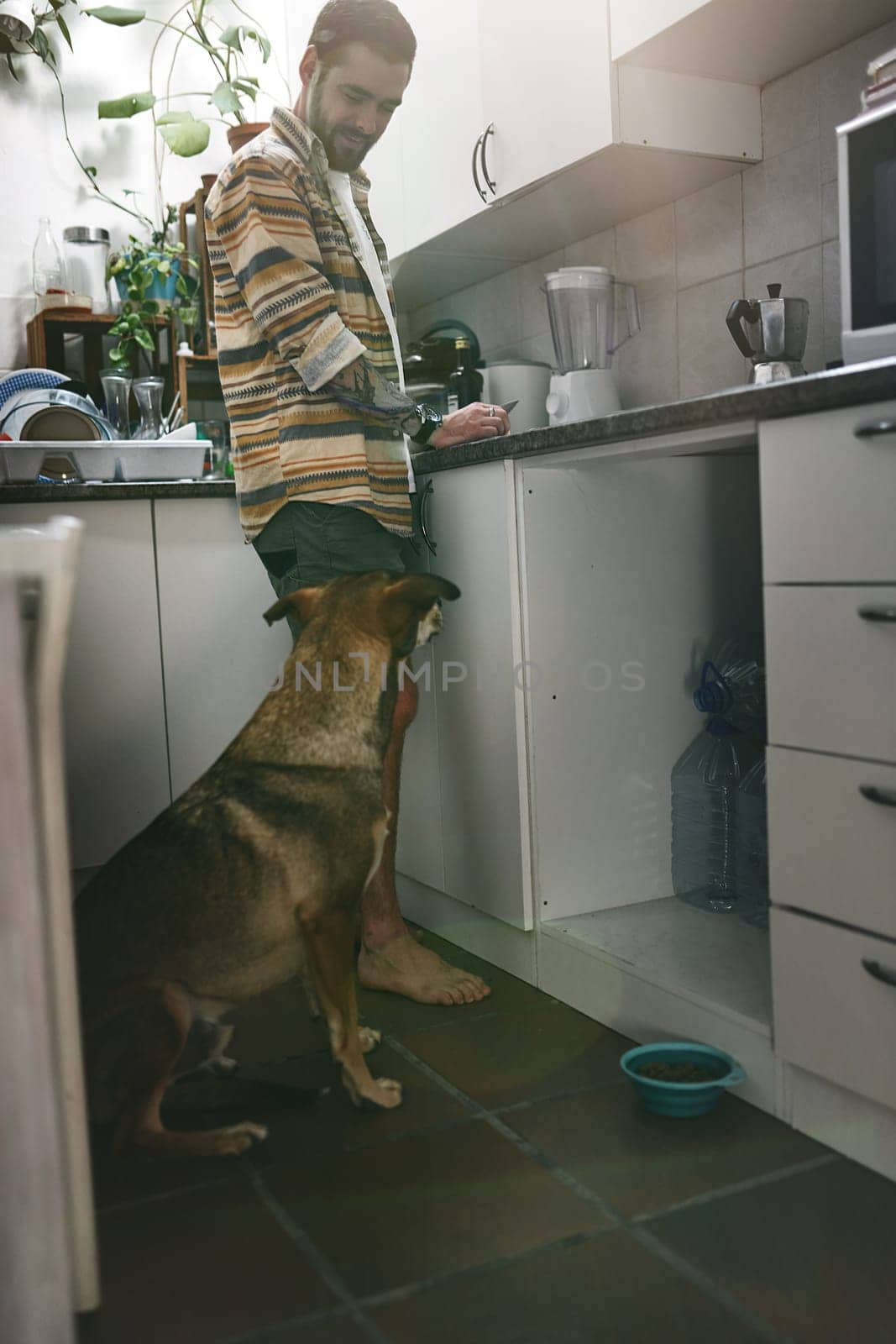 Please can I have some. a cheerful young man hanging out in the kitchen with his dog at home during the day