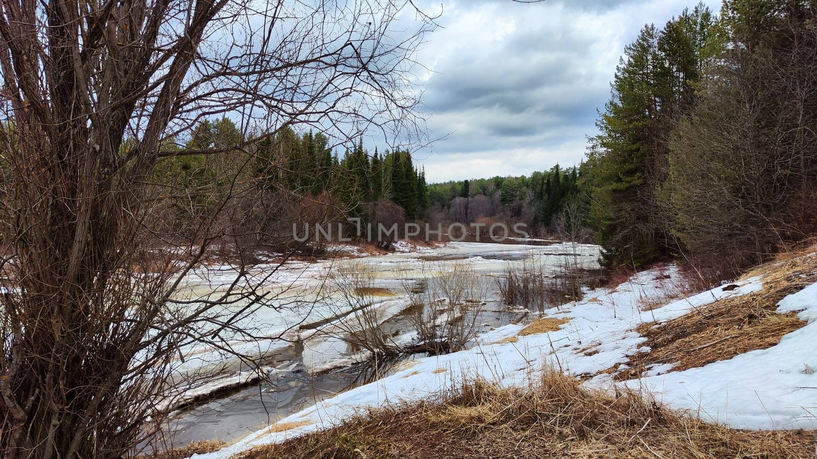 Small river with water under wet swollen ice ready for ice drift, sky with low dark clouds and forest in background in early spring afternoon. Nature landscape during a trip to the rural countryside by keleny