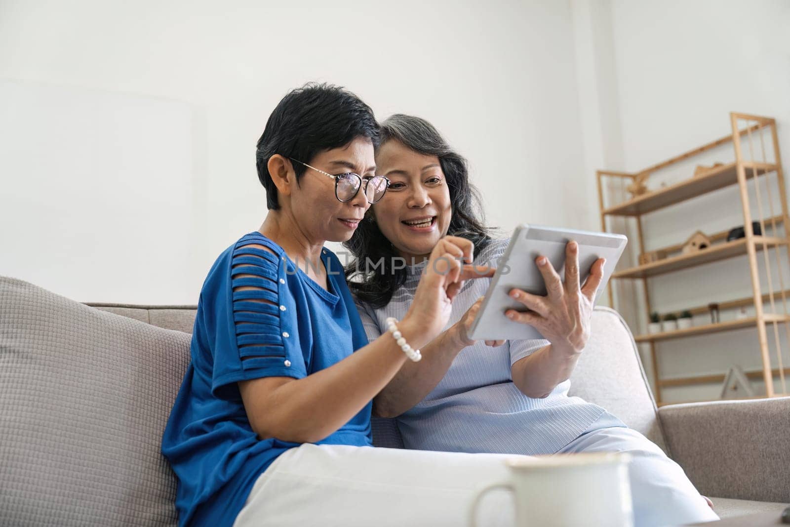 Senior female friend using digital tablet together.