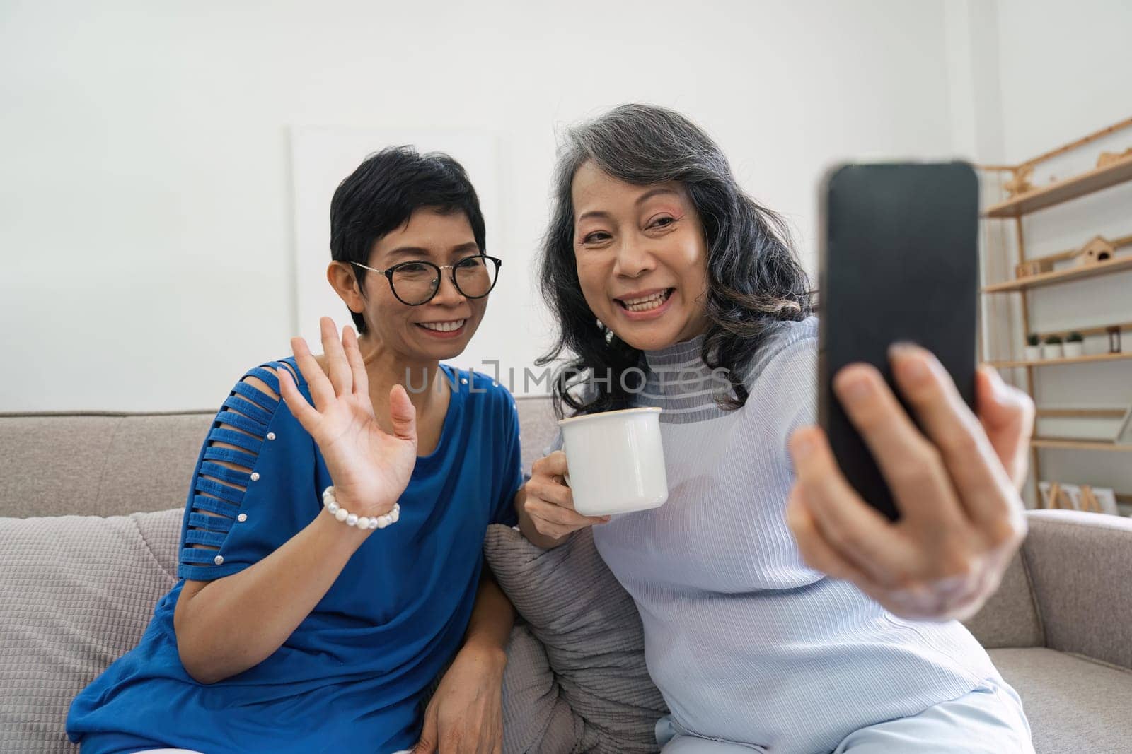 Elderly women, phone social media and living room with senior females with mobile connectivity. Video streaming, happiness and conversation at a house with old people together on technology at home by nateemee