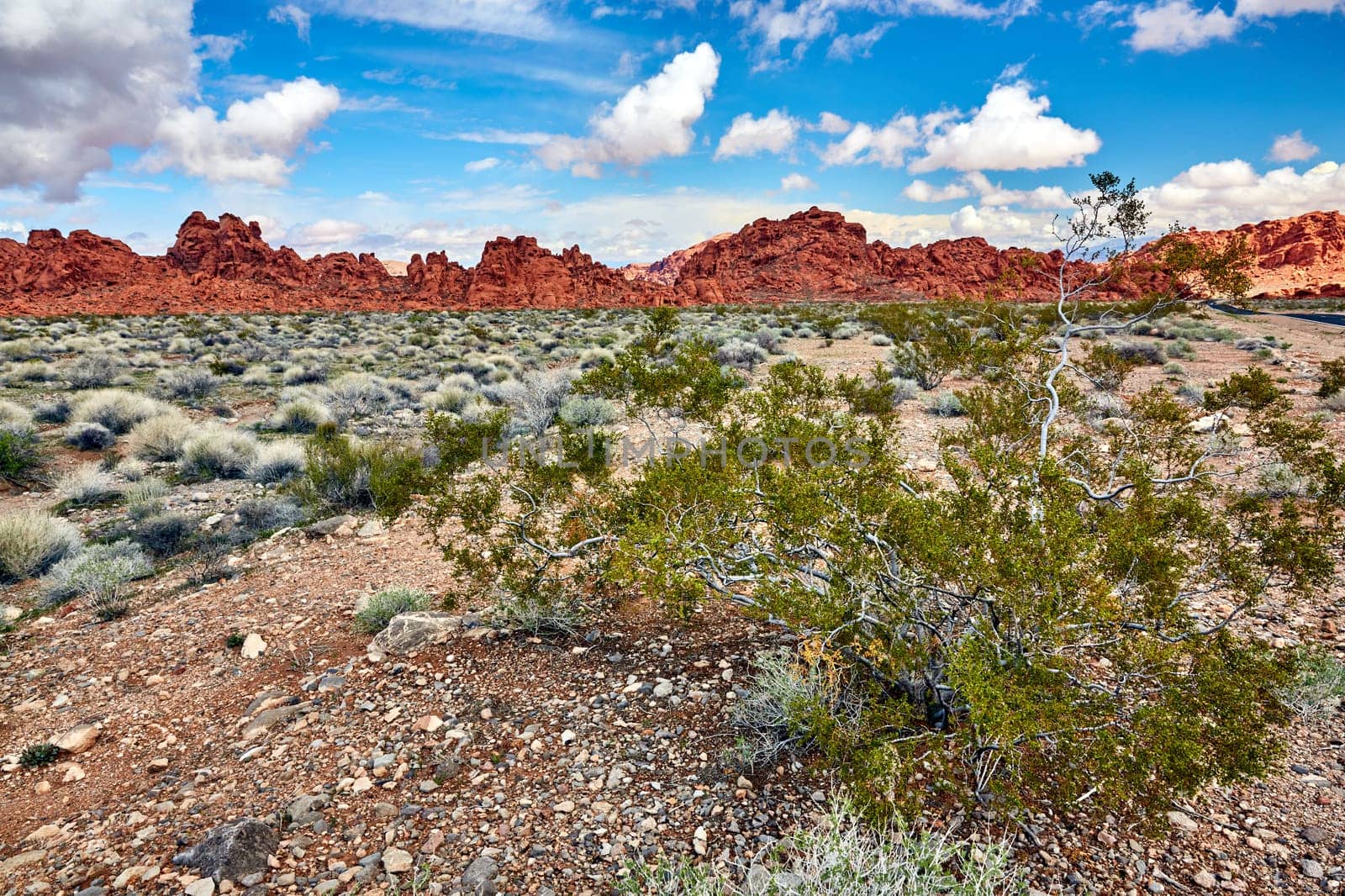 Valley of Fire is located 50 miles north of Las Vegas, Nevada.  Various shots depicting the rocky sandstone formations with some clouds and thunderstorms.