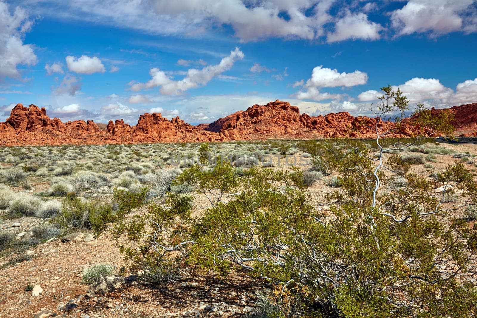 Valley of Fire is located 50 miles north of Las Vegas, Nevada.  Various shots depicting the rocky sandstone formations with some clouds and thunderstorms.