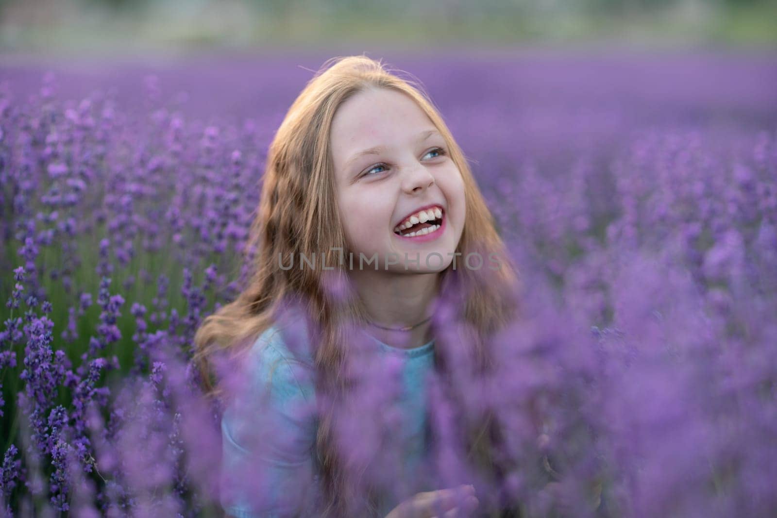 Girl lavender sunset. Girl in blue dress with flowing hair walk on the lavender field. by Matiunina