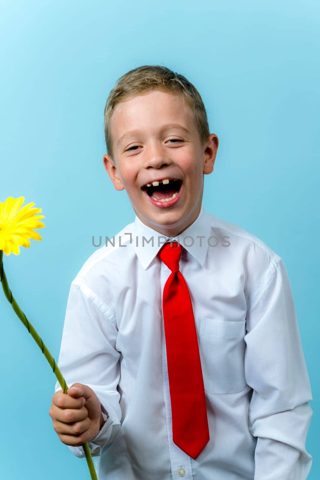 a happy first grader in a white shirt holds a flower in his hands and laughs. Cute Caucasian boy goes to school with flowers. Schoolboy. September 1, for the first time in first grade and, blue background, vertical photo