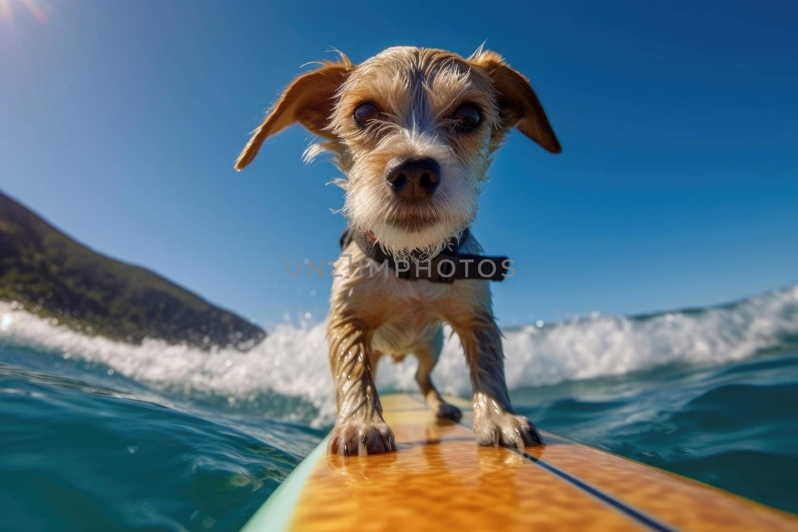 dog on a sup board. Summer sport ai generated