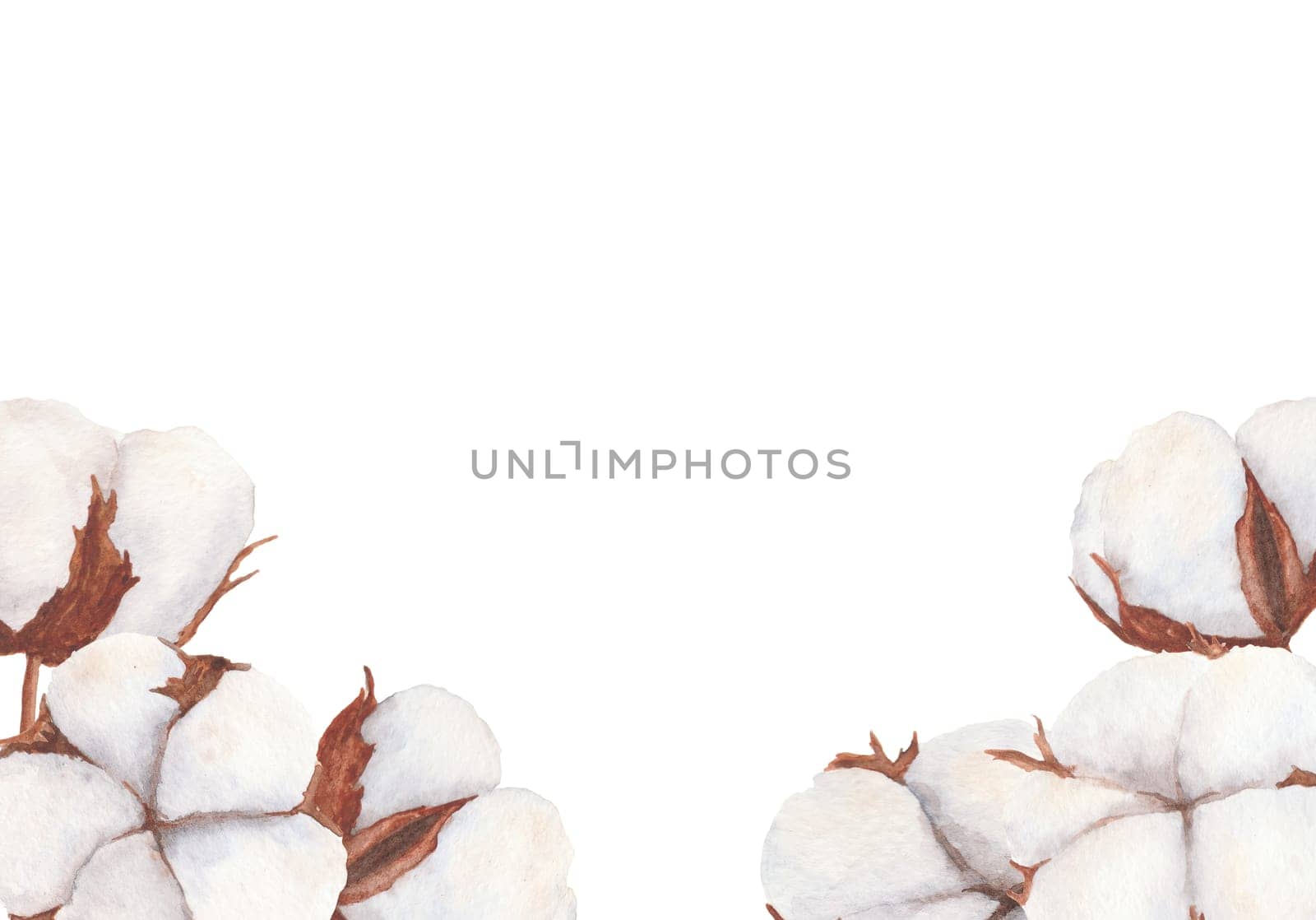 Cotton bolls watercolor illustration isolated on white background. Hand drawn frame by florainlove_art