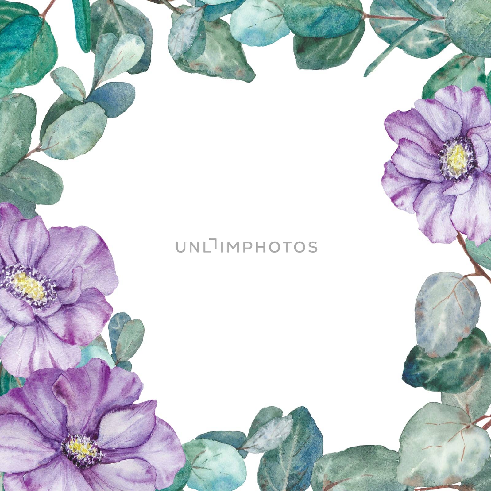 Watercolor hand drawn frame of purple anemones with green eucaliptus isolated on white background. by florainlove_art