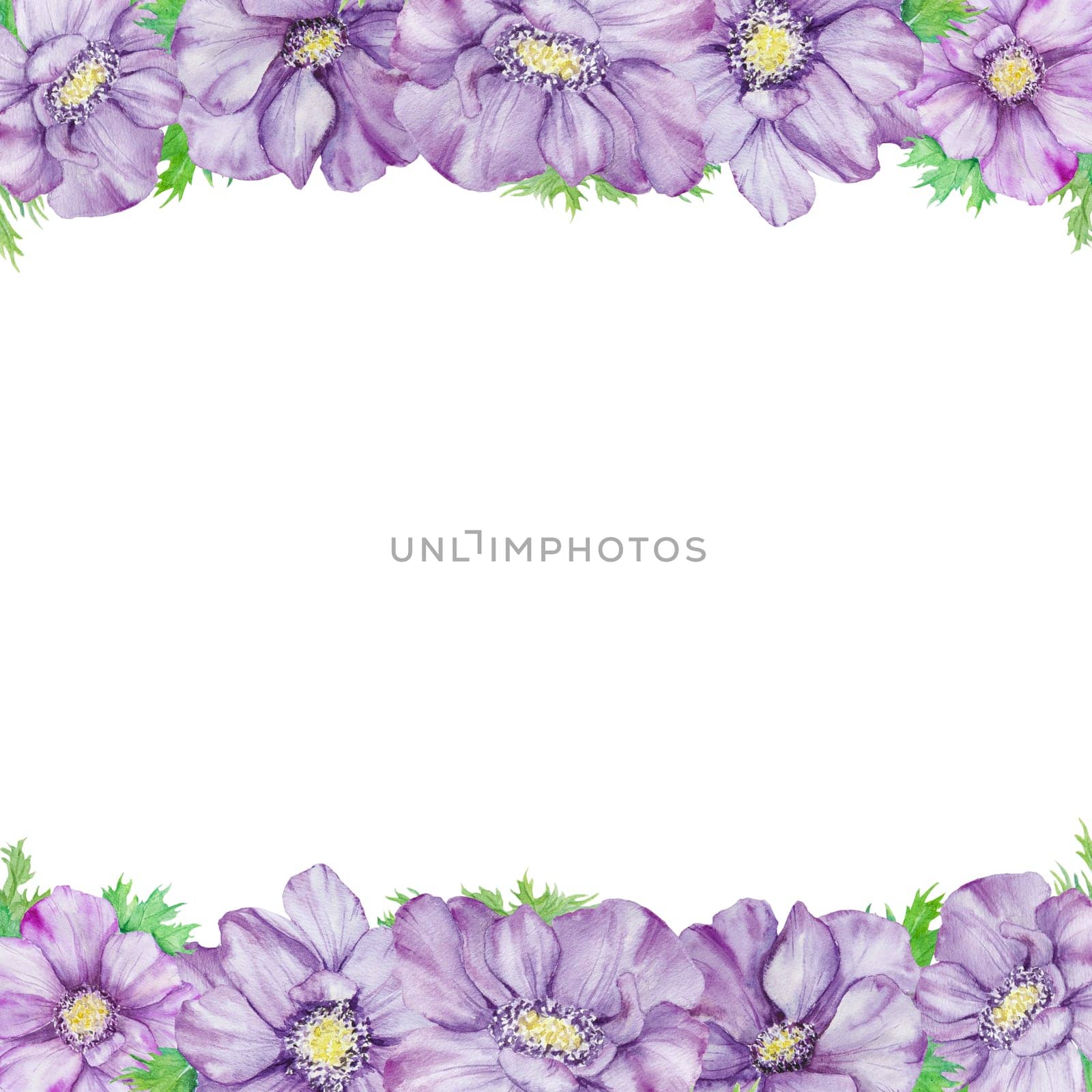 Watercolor hand drawn border of purple anemones with green leaves isolated on white background. by florainlove_art