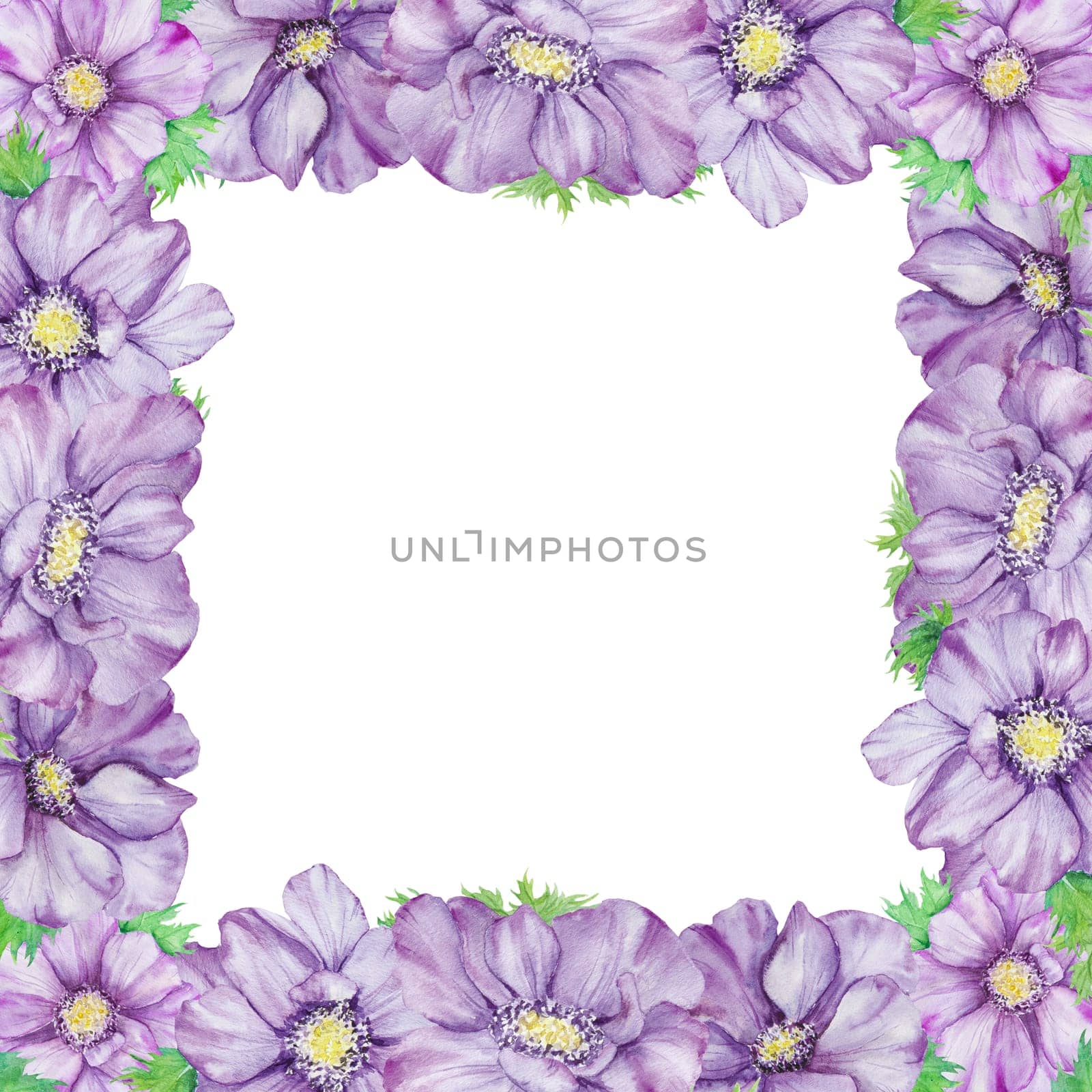 Watercolor hand drawn frame of purple anemones with green leaves isolated on white background. by florainlove_art