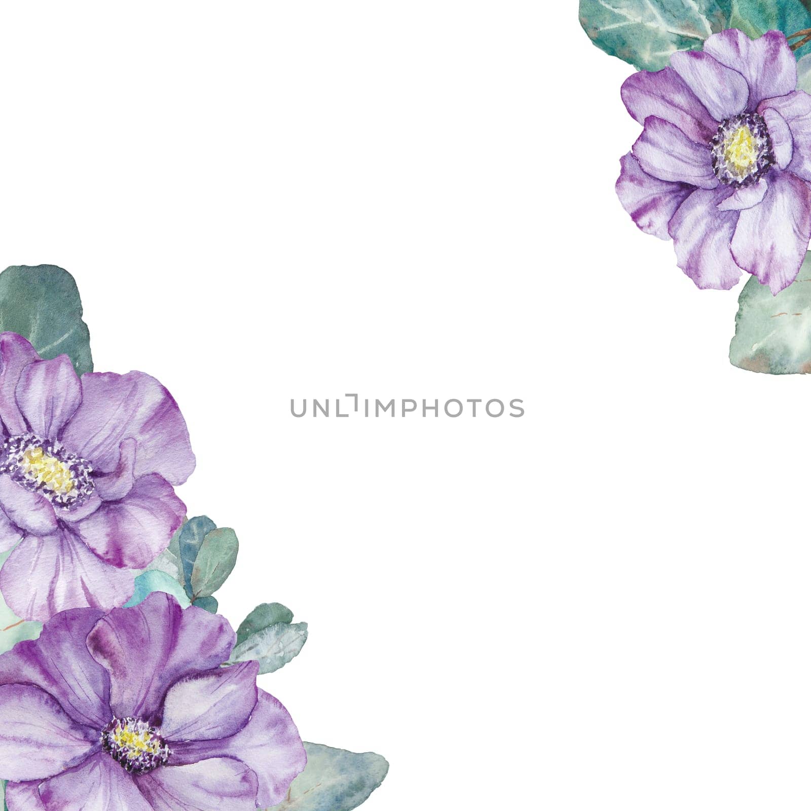 Watercolor hand drawn purple anemones with green leaves of eucaliptus isolated on white by florainlove_art