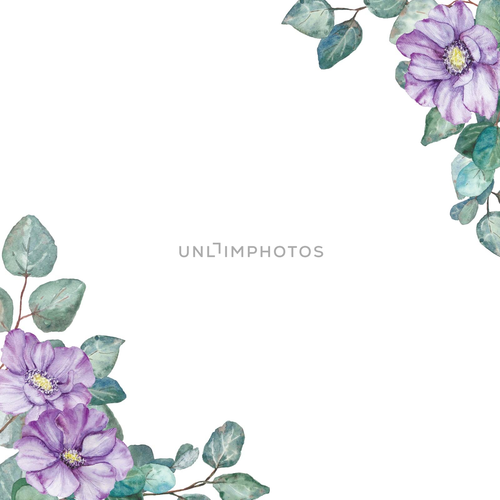 Watercolor hand drawn purple anemones with green leaves of eucaliptus isolated on white by florainlove_art