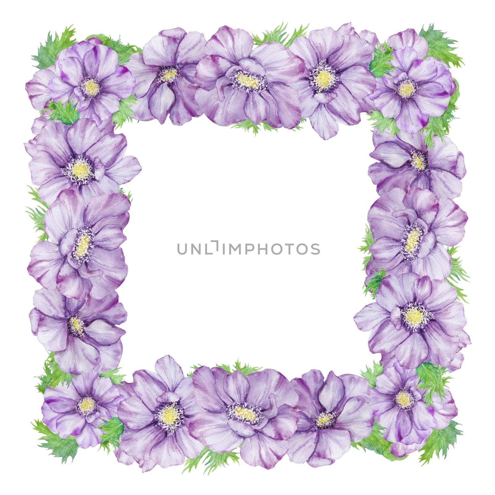 Watercolor hand drawn frame of purple anemones with green leaves isolated on white background. by florainlove_art