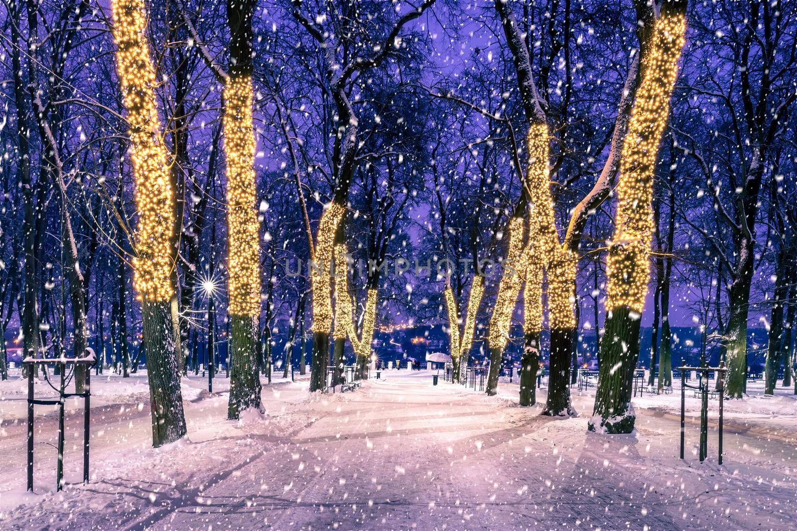 Snowfall in a winter park at night with christmas decorations, lights, pavement covered with snow and trees with garlands.