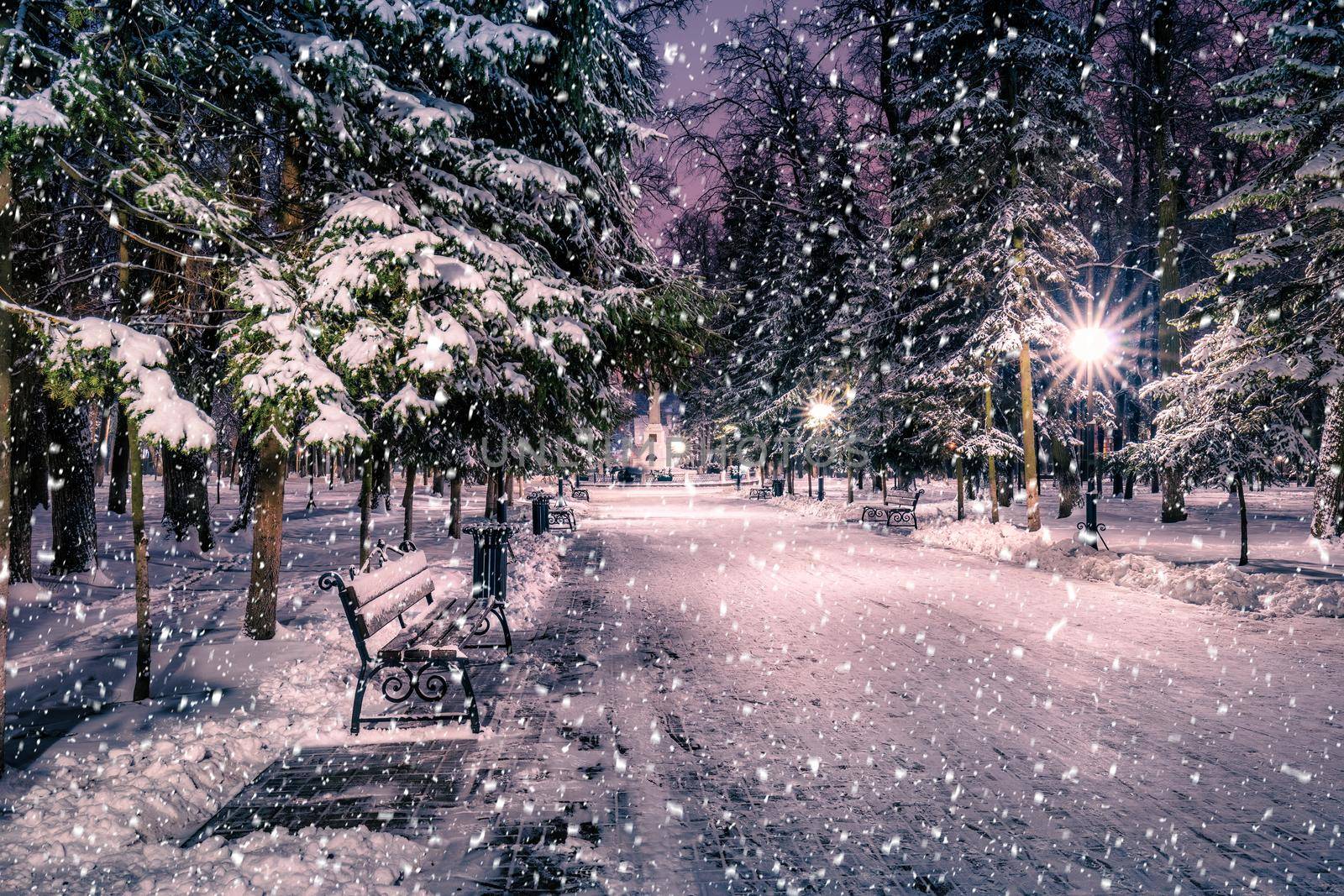 Snowfall in a winter park at night with christmas decorations, lights and  pavement covered with snow. by Eugene_Yemelyanov