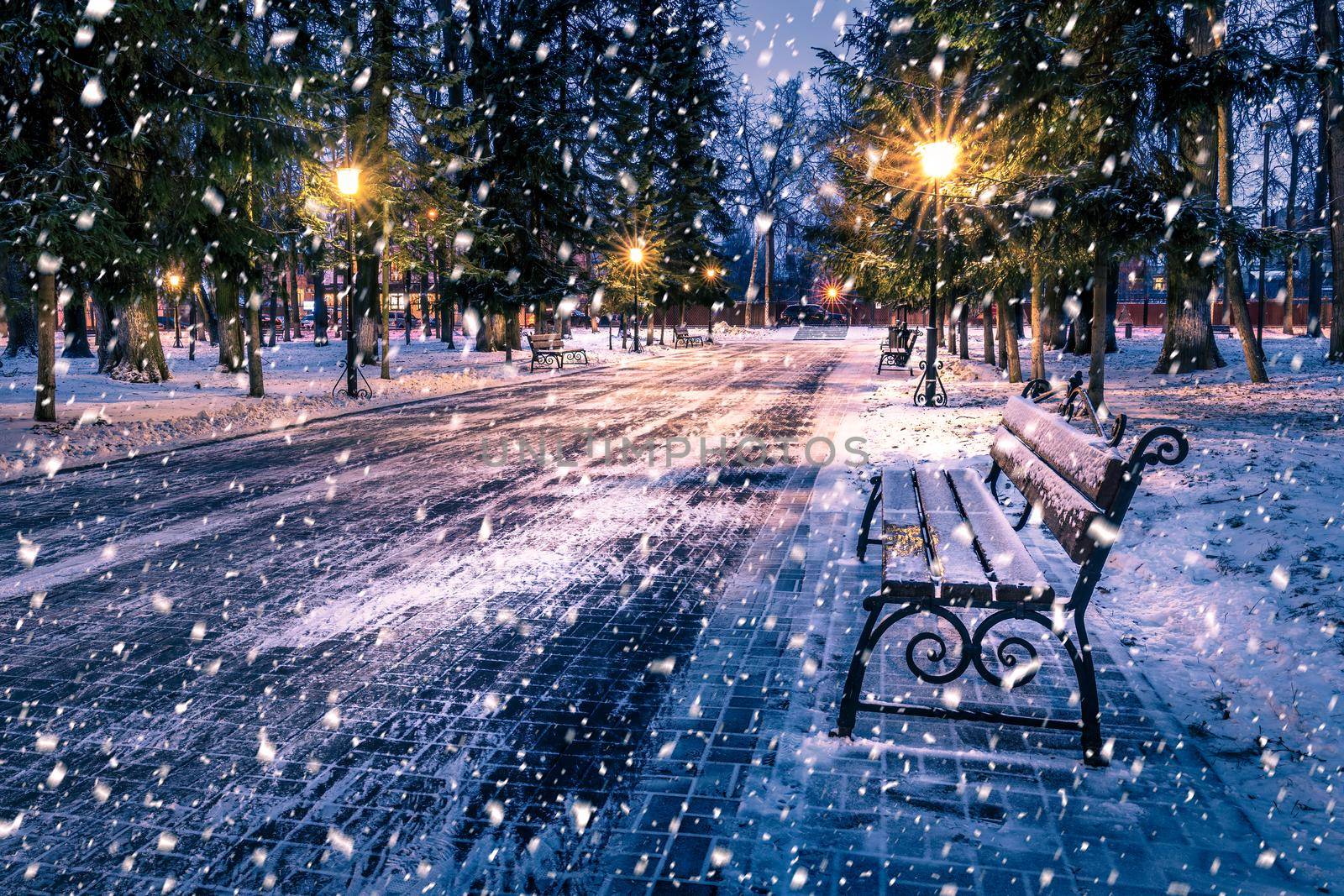 Snowfall in a winter park at night with christmas decorations, lights and  pavement covered with snow. Falling snow.