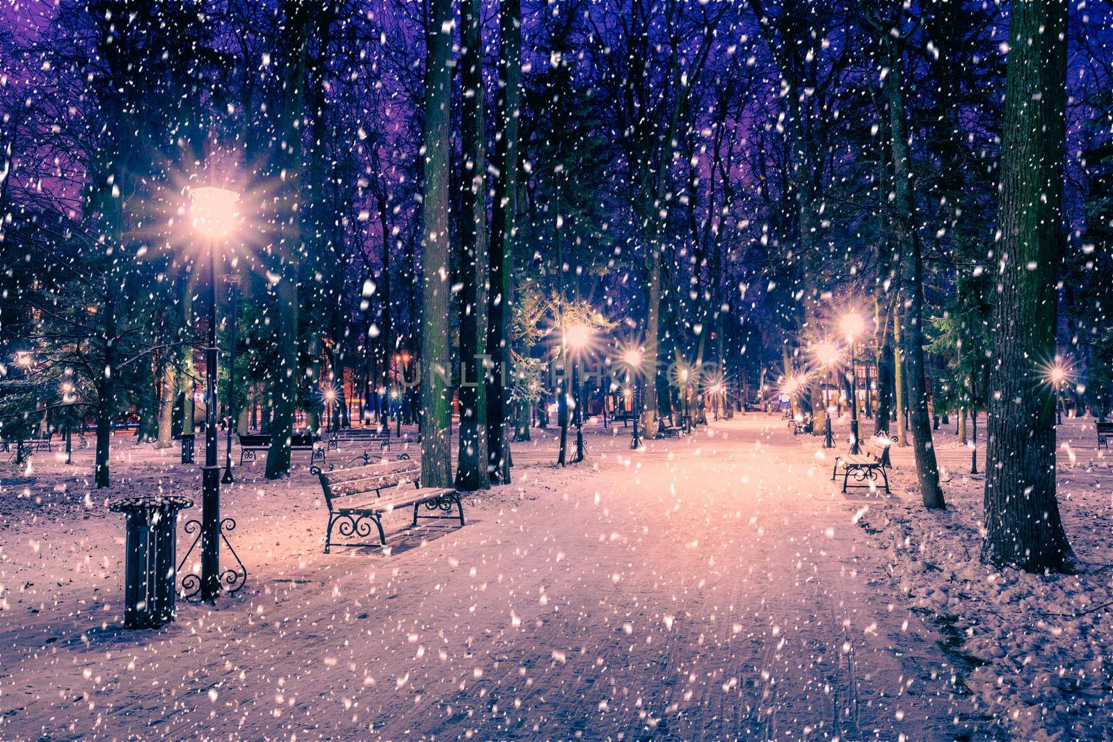 Snowfall in a winter park at night with christmas decorations, lights and  pavement covered with snow. by Eugene_Yemelyanov