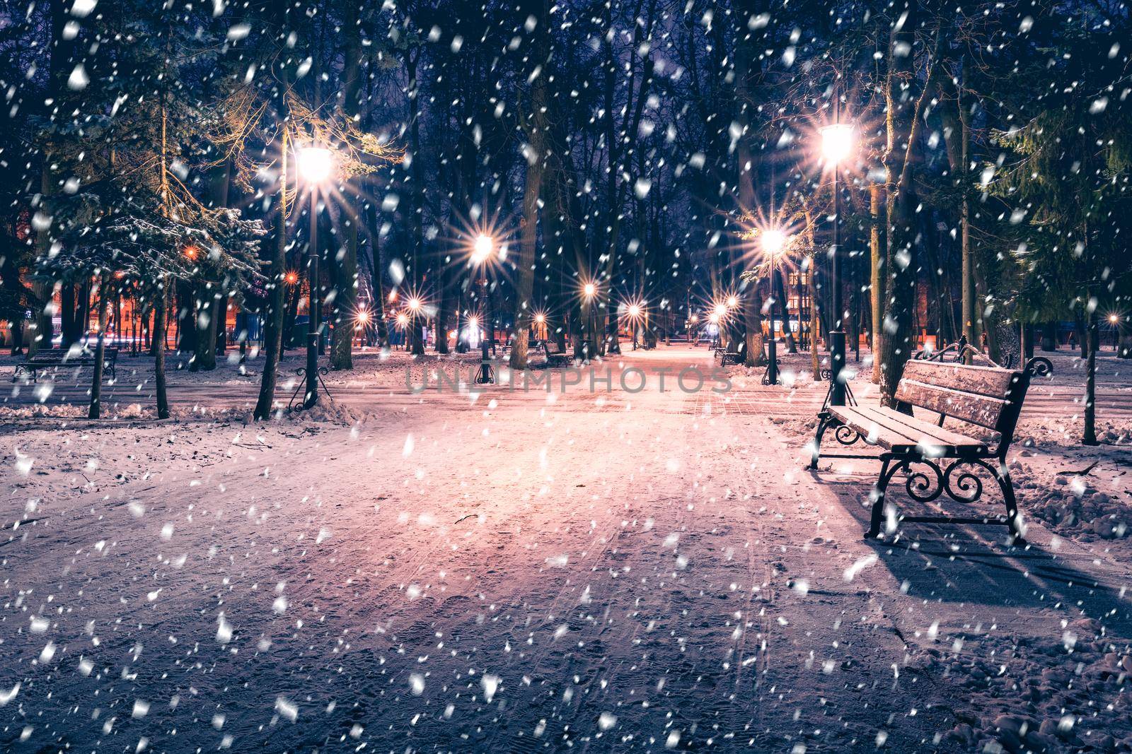 Snowfall in a winter park at night with christmas decorations, lights and  pavement covered with snow. by Eugene_Yemelyanov