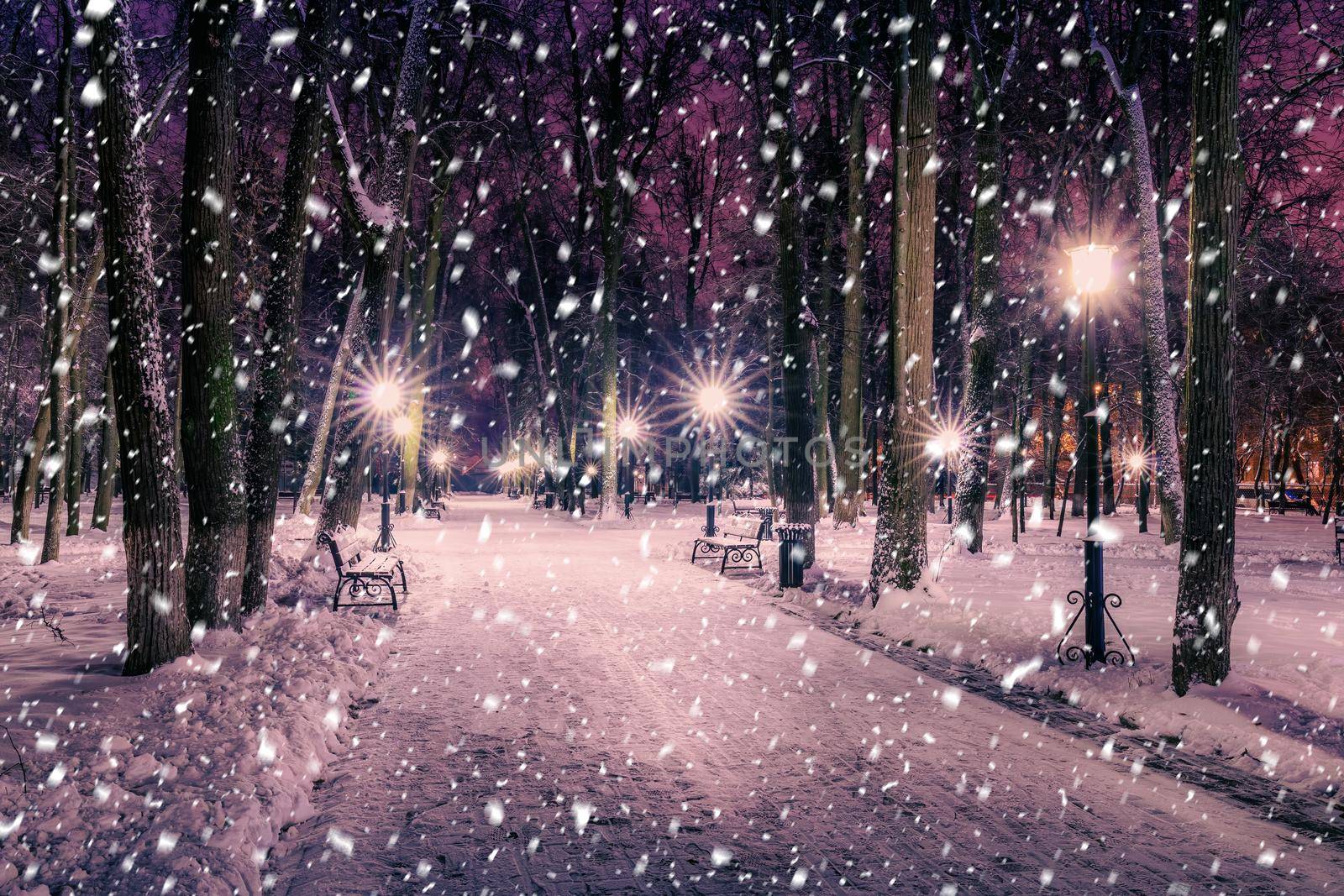 Snowfall in a winter park at night with christmas decorations, lights and  pavement covered with snow. by Eugene_Yemelyanov