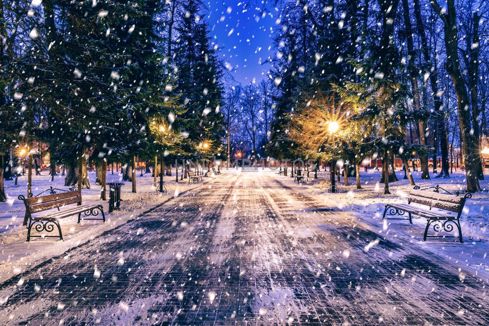 Snowfall in a winter park at night with christmas decorations, lights and  pavement covered with snow. by Eugene_Yemelyanov