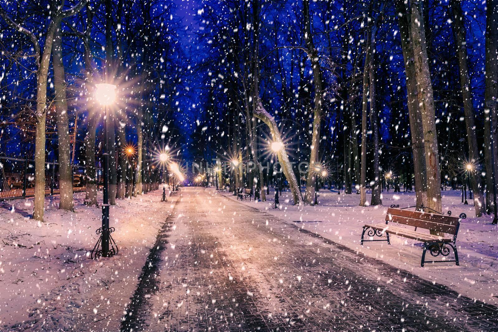 Snowfall in a winter park at night with christmas decorations, lights and  pavement covered with snow. by Eugene_Yemelyanov