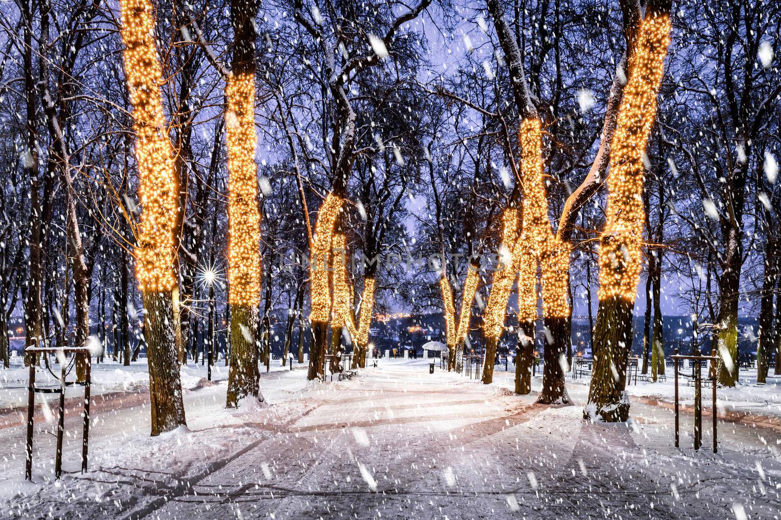 Snowfall in a winter park at night with christmas decorations, lights, pavement covered with snow and trees with garlands.