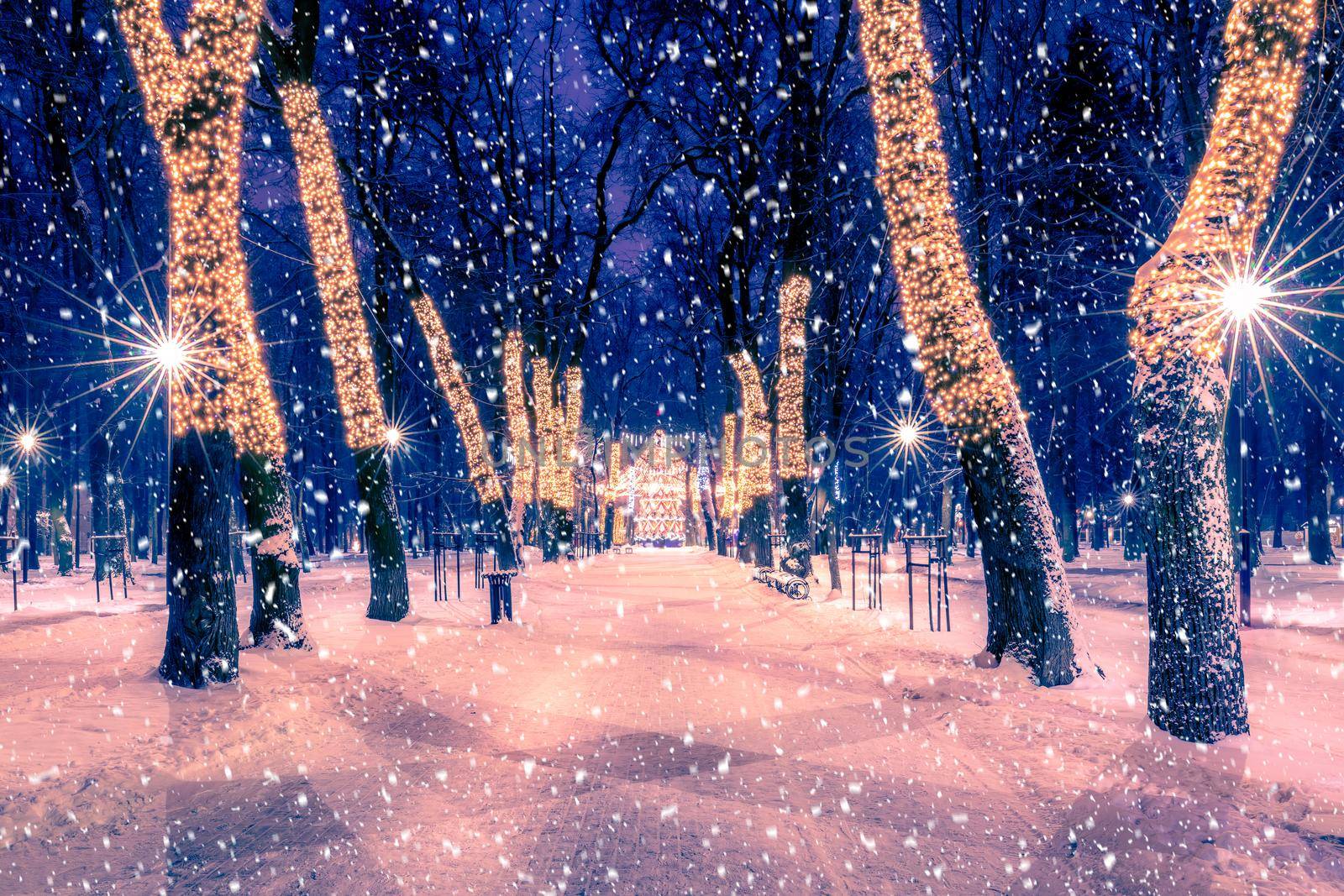 Snowfall in a winter park at night with christmas decorations, lights, pavement covered with snow and trees with garlands.