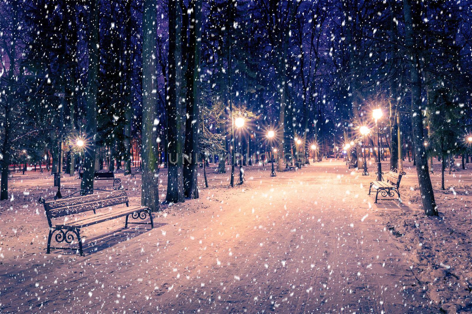 Snowfall in a winter park at night with christmas decorations, lights and  pavement covered with snow. by Eugene_Yemelyanov