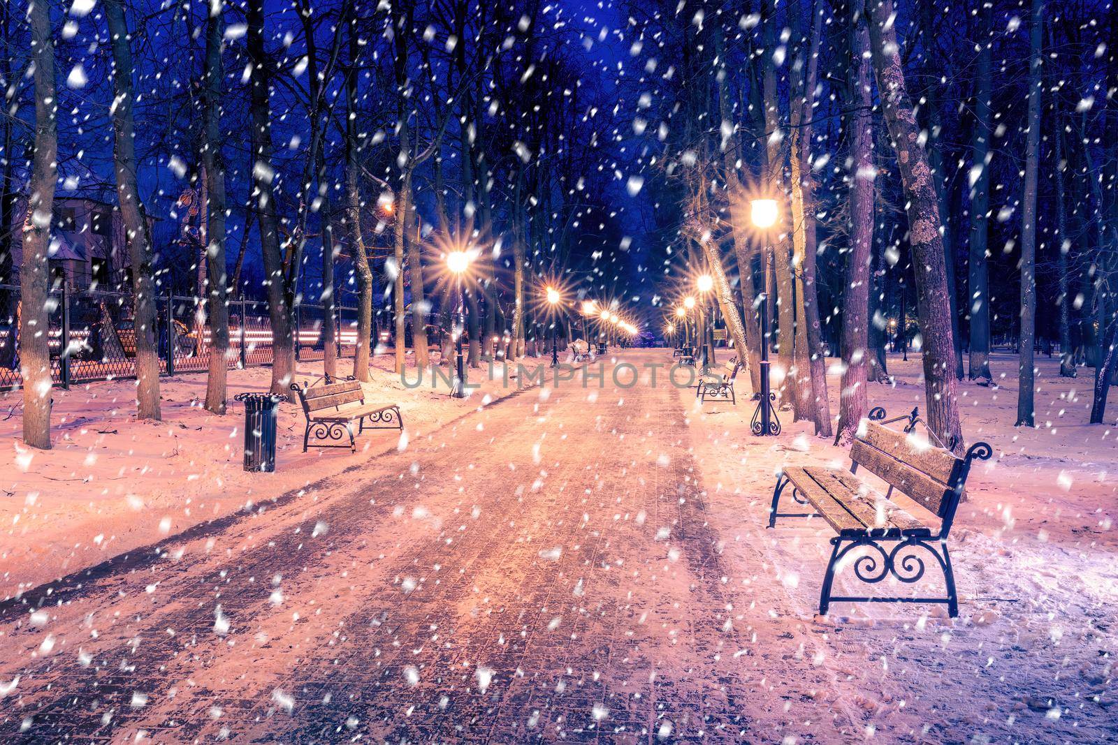 Snowfall in a winter park at night with christmas decorations, lights and  pavement covered with snow. by Eugene_Yemelyanov