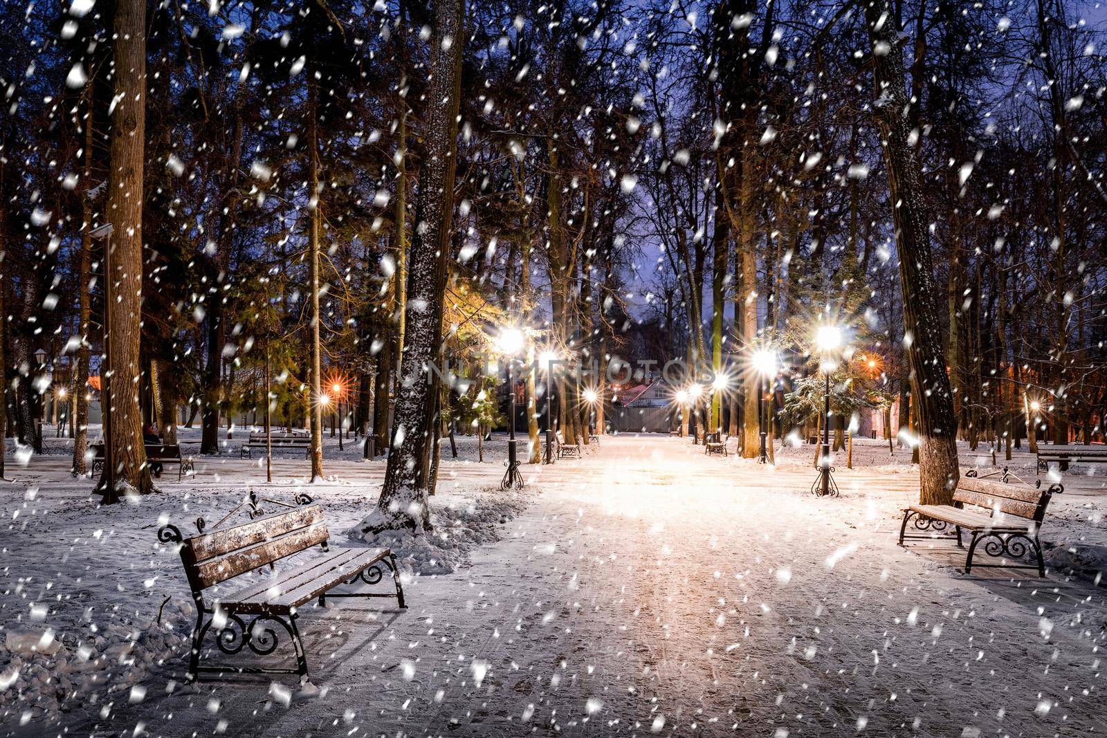 Snowfall in a winter park at night with christmas decorations, lights and  pavement covered with snow. Falling snow.