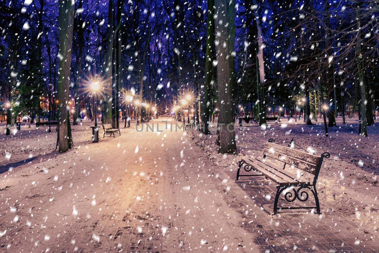 Snowfall in a winter park at night with christmas decorations, lights and  pavement covered with snow. by Eugene_Yemelyanov