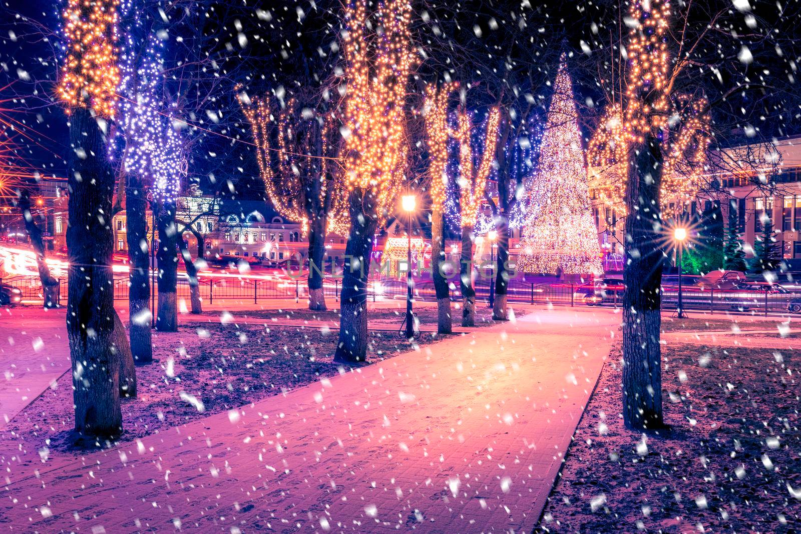 Snowfall in a winter park at night with christmas decorations, lights, pavement covered with snow and trees with garlands.