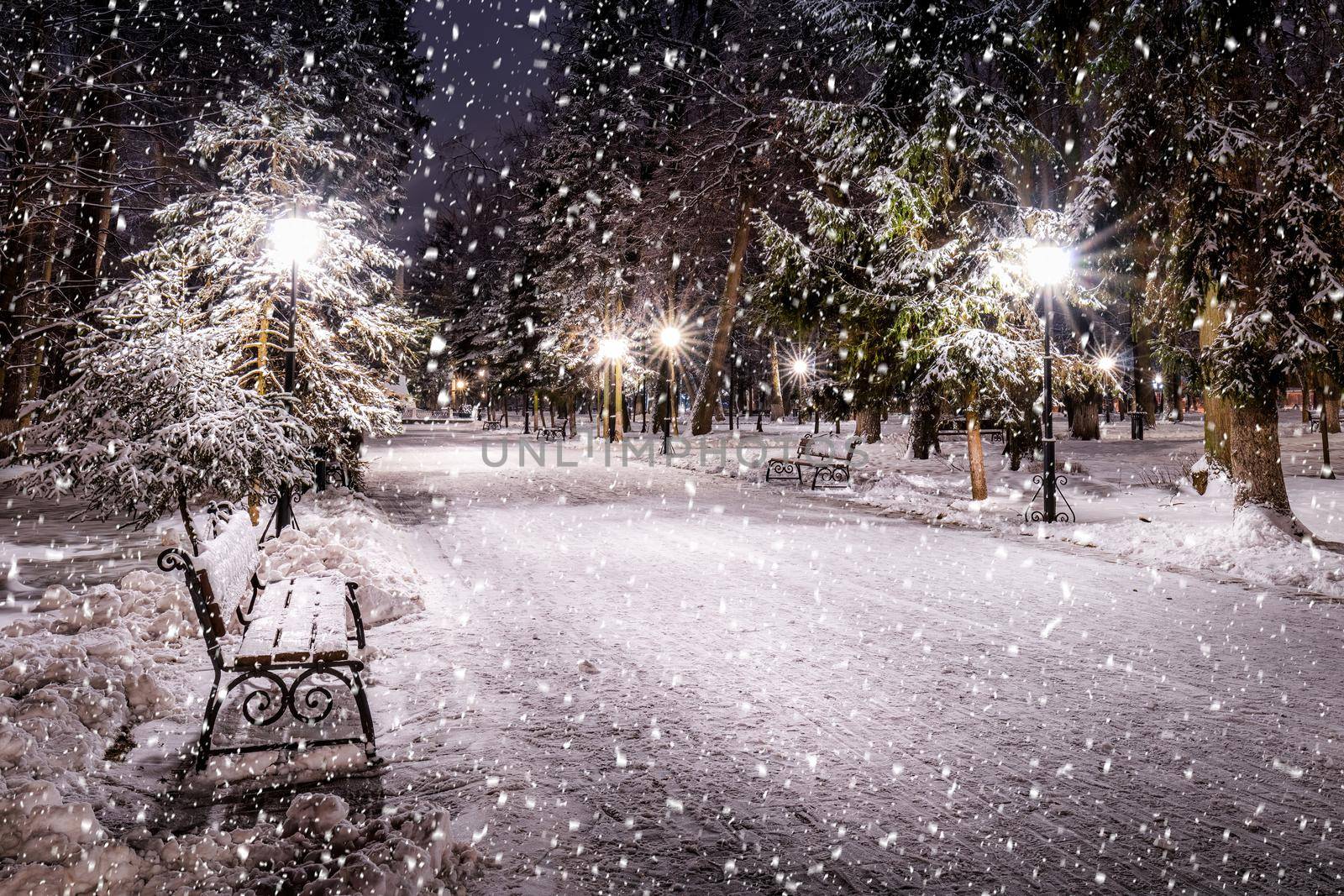 Snowfall in a winter park at night with christmas decorations, lights and  pavement covered with snow. by Eugene_Yemelyanov