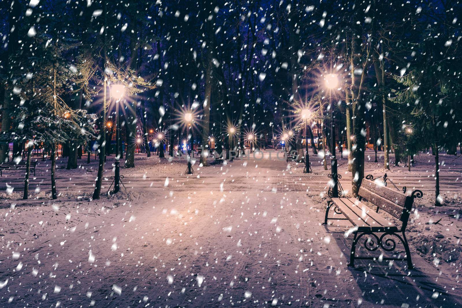 Snowfall in a winter park at night with christmas decorations, lights and  pavement covered with snow. by Eugene_Yemelyanov