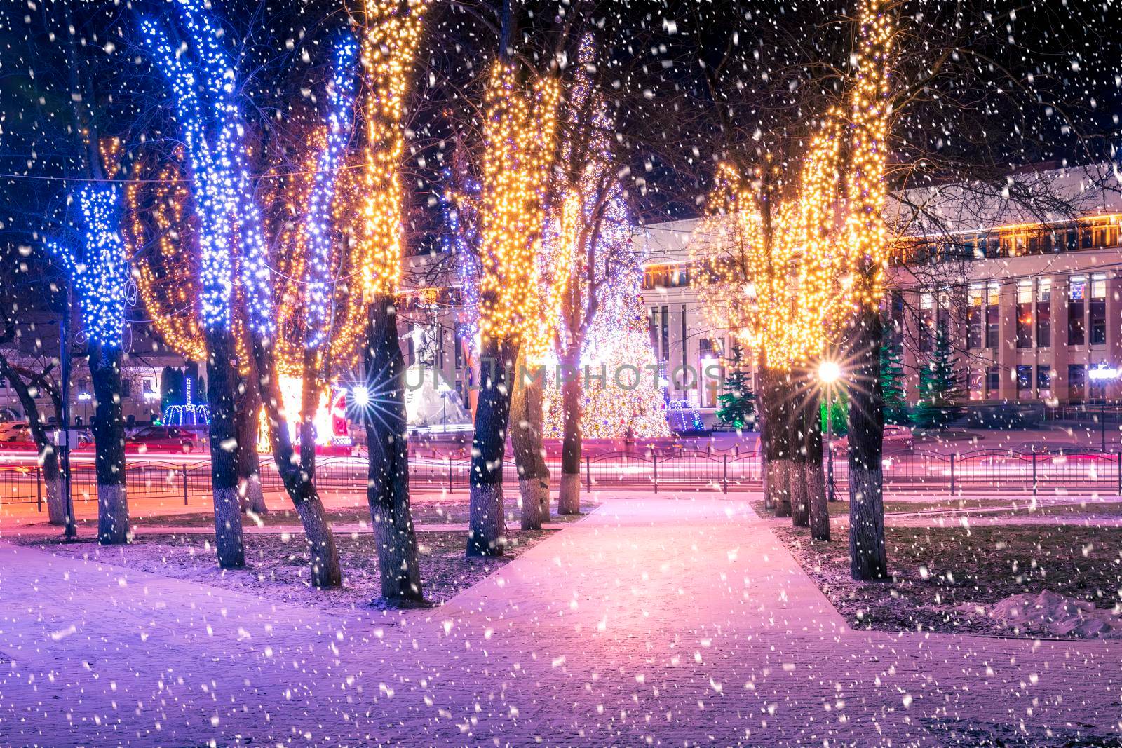 Snowfall in a winter park at night with christmas decorations, lights, pavement covered with snow and trees with garlands.