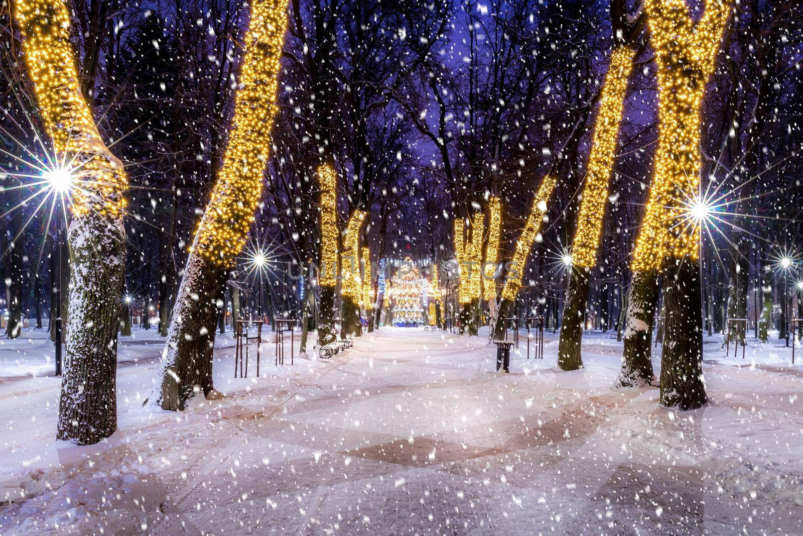 Snowfall in a winter park at night with christmas decorations, lights, pavement covered with snow and trees with garlands.