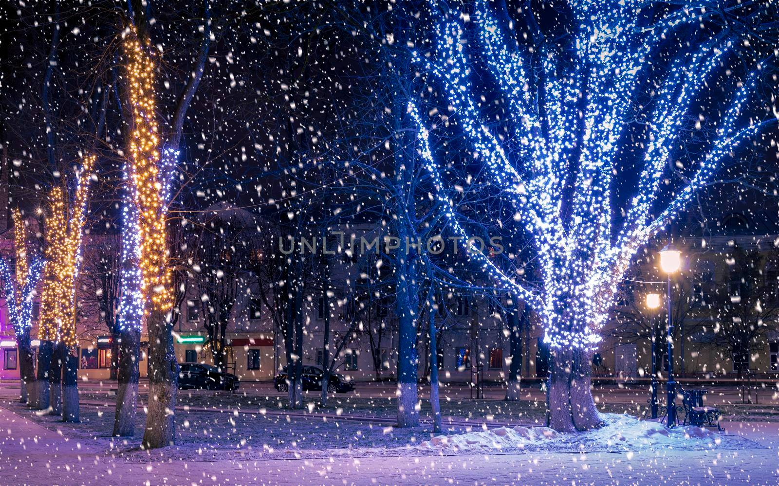 Snowfall in a winter park at night with christmas decorations, lights, pavement covered with snow and trees with garlands.