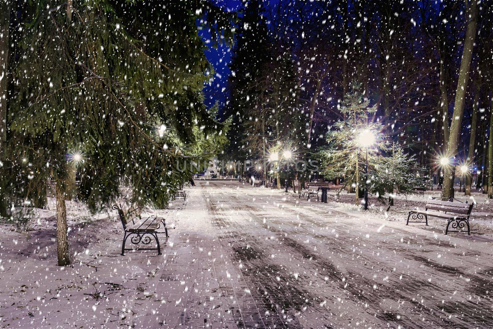 Snowfall in a winter park at night with christmas decorations, lights and  pavement covered with snow. Falling snow.