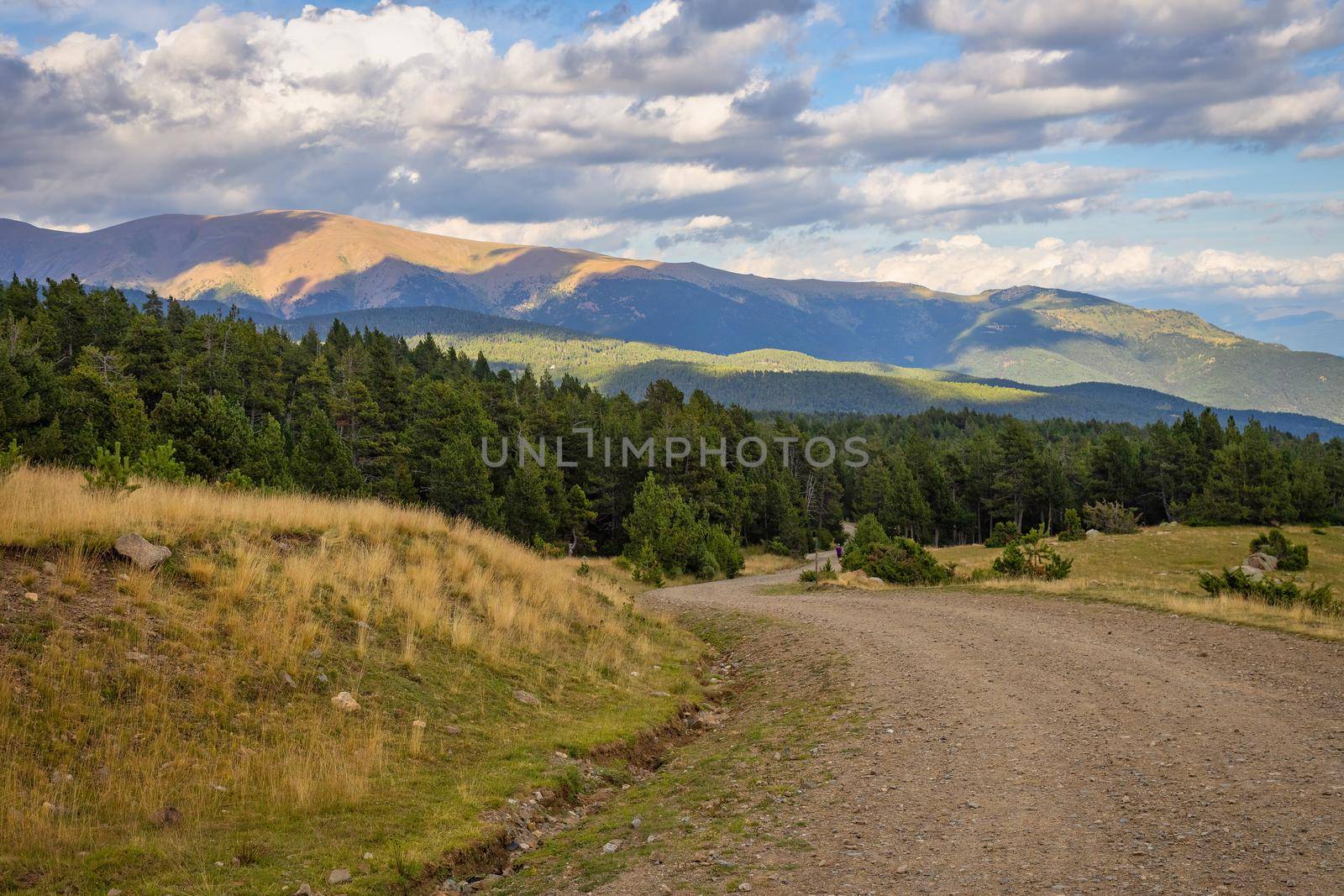 Summer landscape with forest road in La Cerdanya, Pyrenees mountain, Catalonia, Spain. by Digoarpi