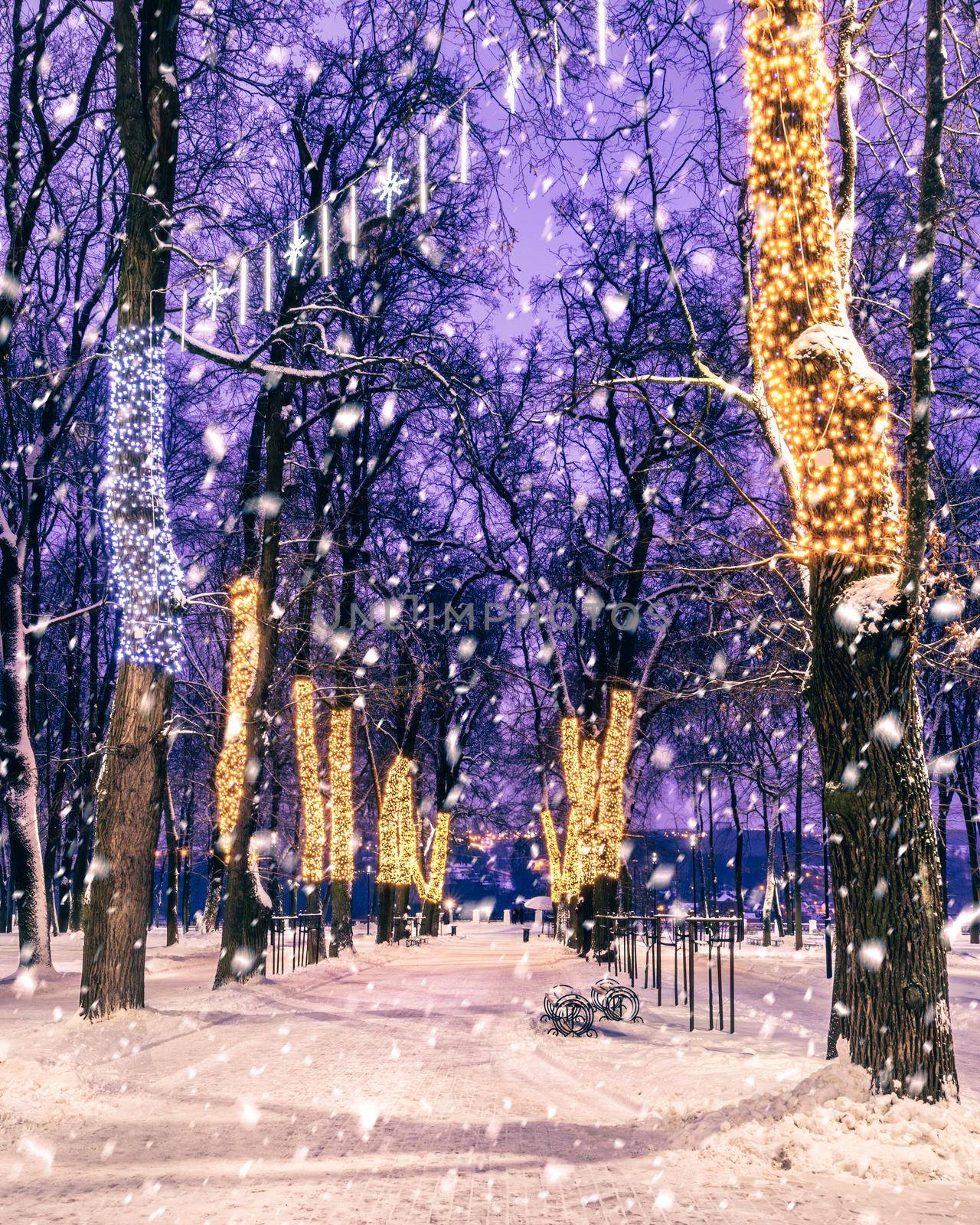 Snowfall in a winter park at night with christmas decorations, lights, pavement covered with snow and trees with garlands.