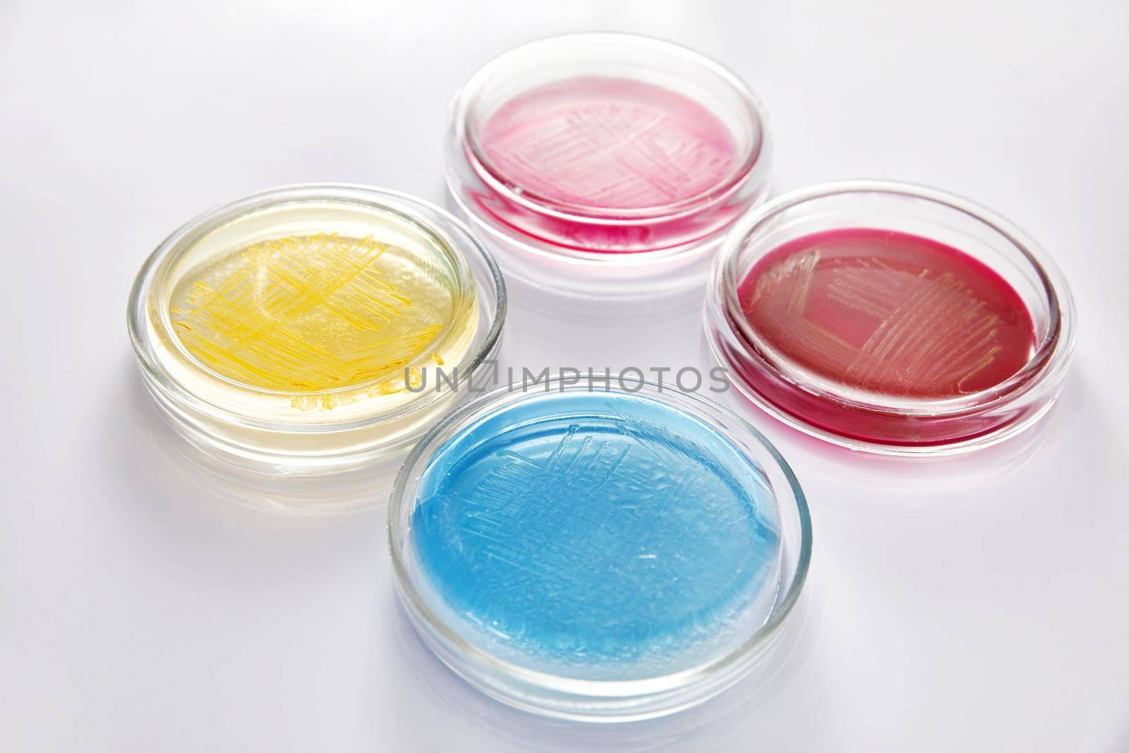 Concept of Pharmaceutical Research of Antibiotics, Curing Disease Fighting Epidemics