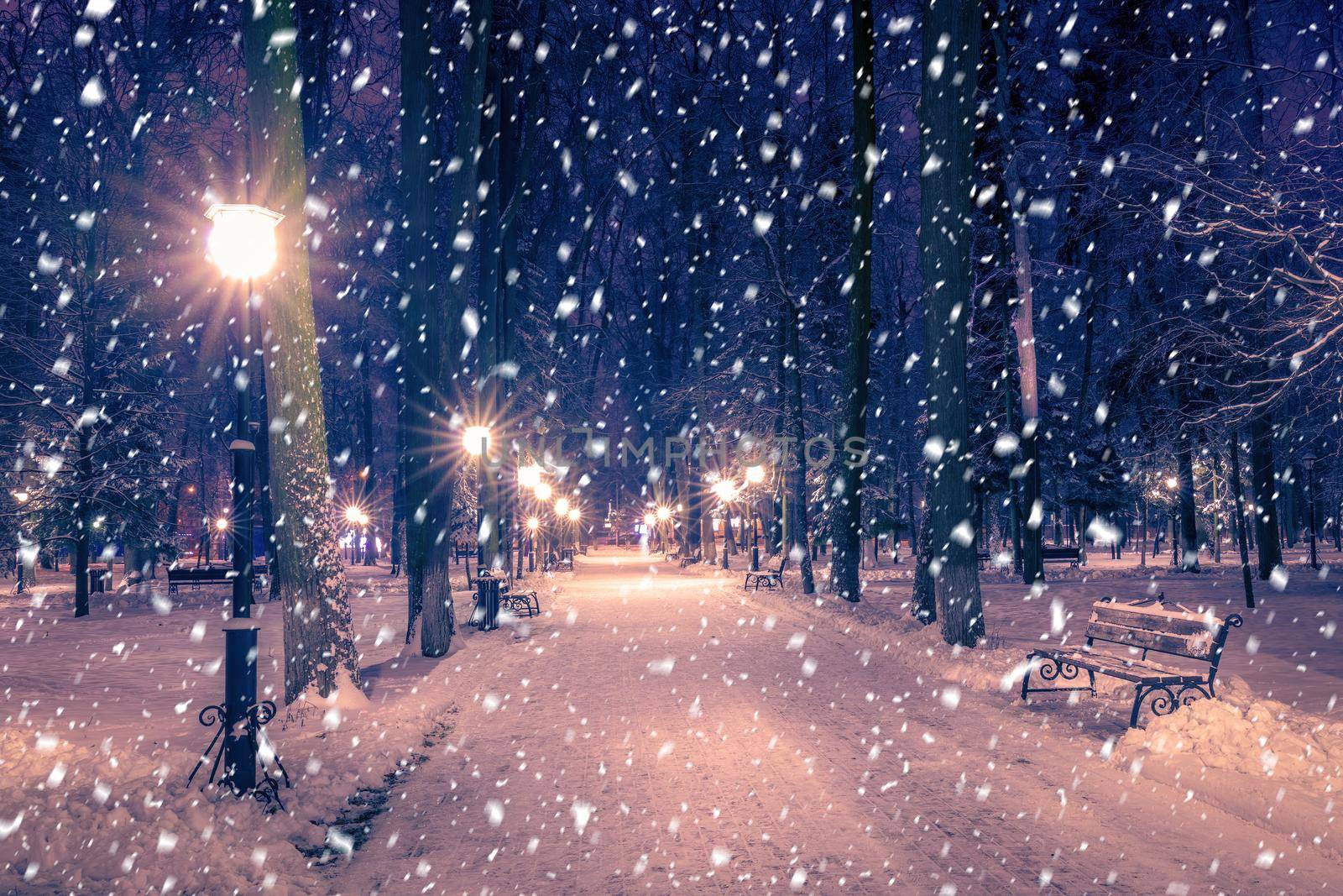 Snowfall in a winter park at night with christmas decorations, lights and  pavement covered with snow. Falling snow.