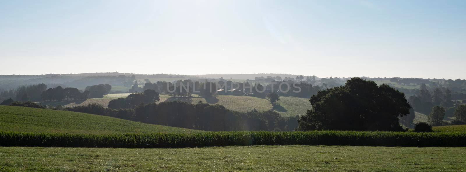 rural countryside landscape of central brittany on early misty summer morning in france by ahavelaar