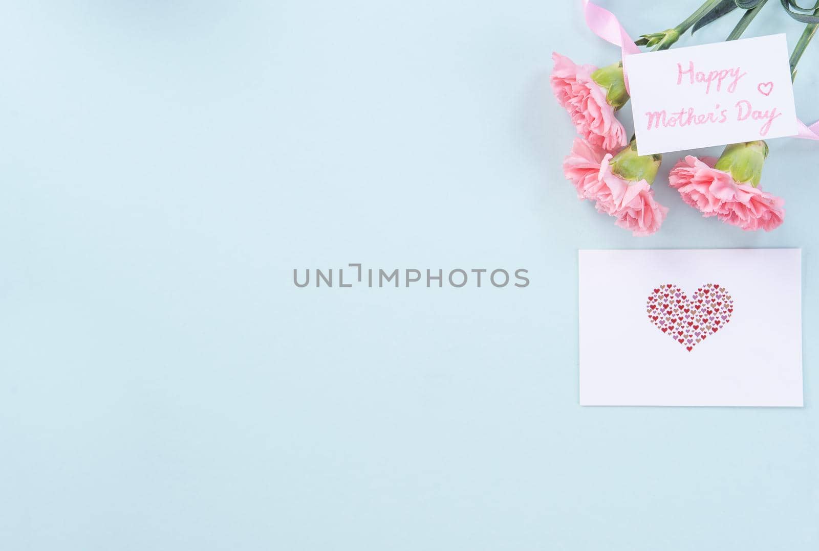 Beautiful, elegant pink carnation flower over bright light blue table background, concept of Mother's Day flower gift, top view, flat lay, overhead