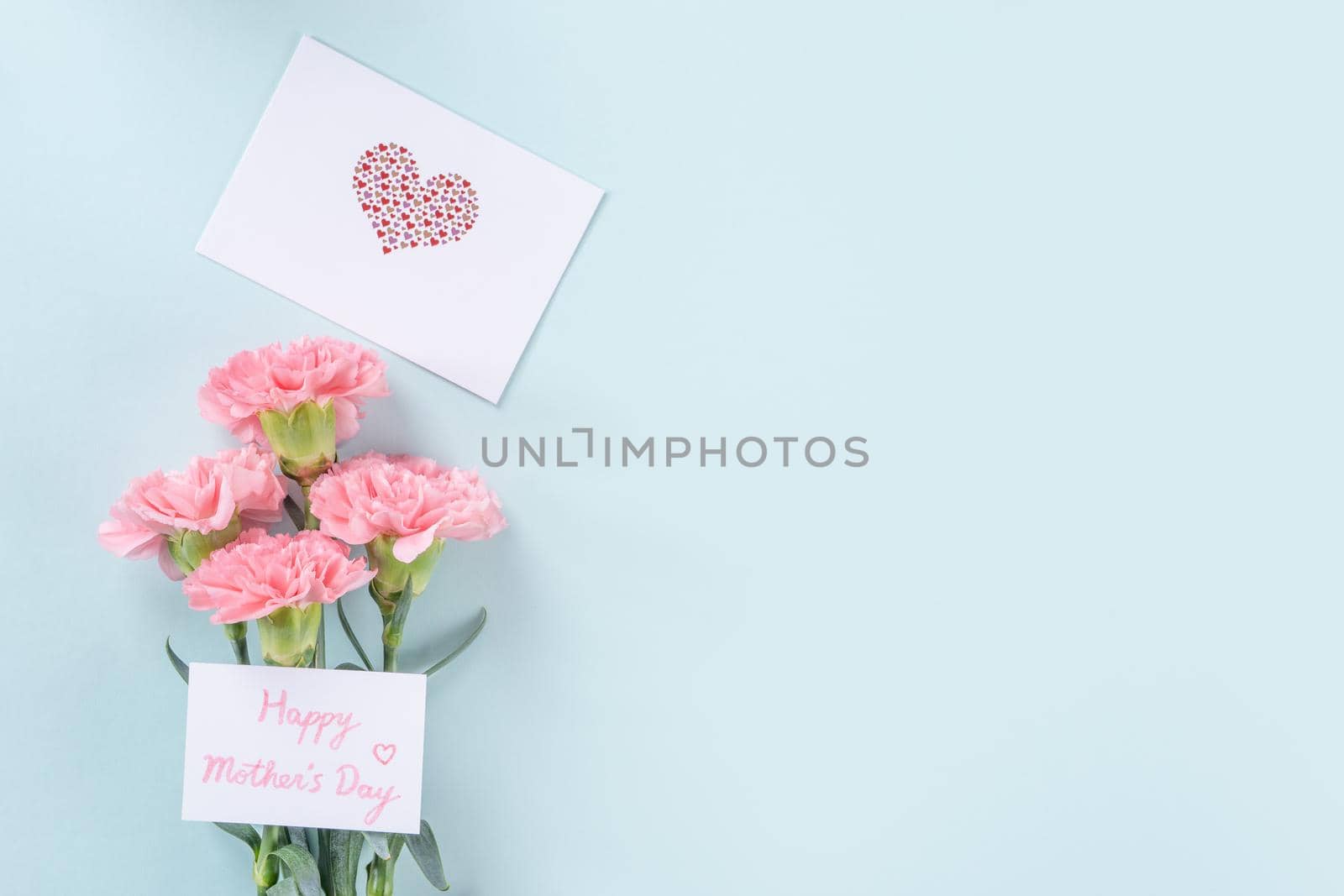 Beautiful, elegant pink carnation flower over bright light blue table background, concept of Mother's Day flower gift, top view, flat lay, overhead