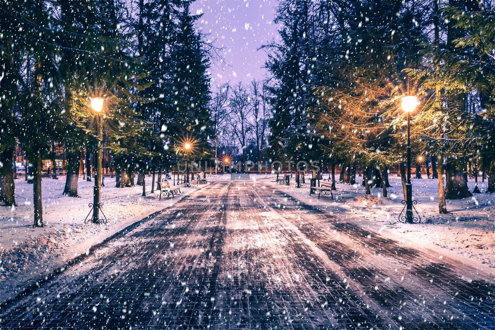 Snowfall in a winter park at night with christmas decorations, lights and  pavement covered with snow. by Eugene_Yemelyanov