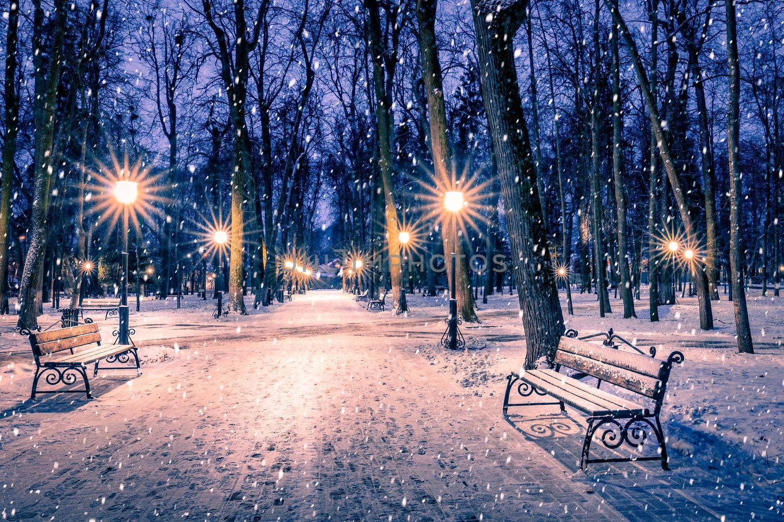 Snowfall in a winter park at night with christmas decorations, lights and  pavement covered with snow. Falling snow.