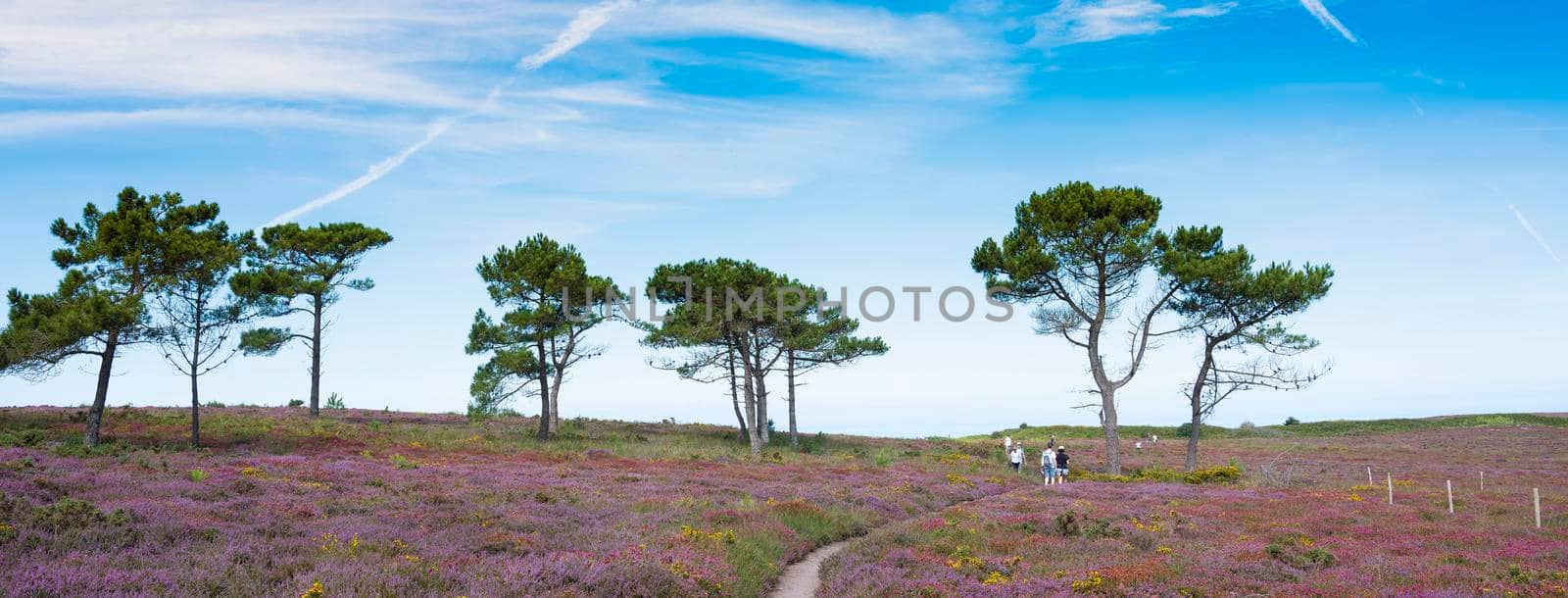 people walk towards ocean at cap d'erqui in french brittany by ahavelaar