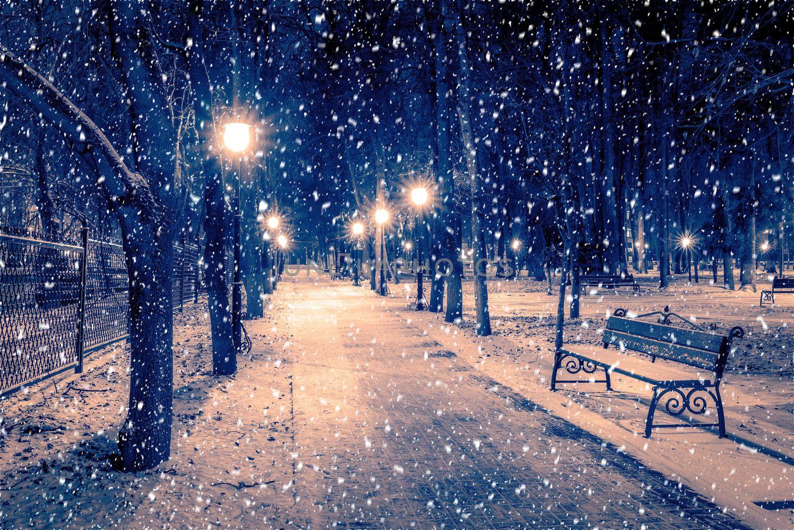 Snowfall in a winter park at night with christmas decorations, lights and  pavement covered with snow. by Eugene_Yemelyanov