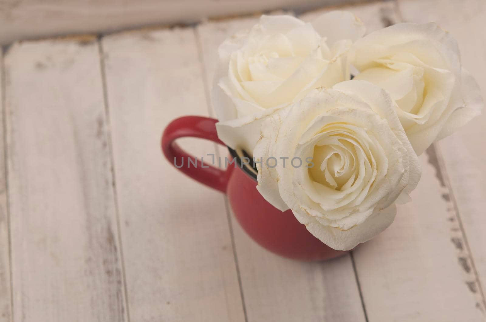 A bouquet of white wedding roses in an old vintage cup on wood background with floral petals by inxti